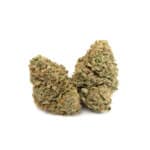 Gelato