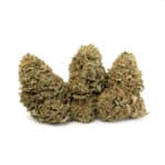 Gelato