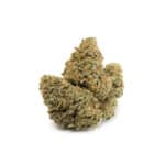 Gelato