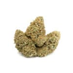 Gelato