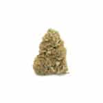 Gelato