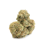 Island Sweet Skunk