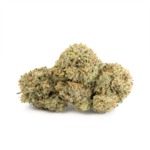 Island Sweet Skunk