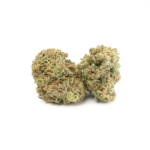 Island Sweet Skunk