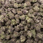 Lemon Cherry Gelato - Smalls