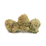 Mango Haze