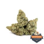 Sun Peaks Cultivation - Jealousy