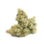 Sun Peaks Cultivation - Jealousy