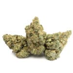 Sun Peaks Cultivation - Jealousy