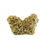 Sunset Sherbet