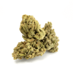 Green House - Purple Punch