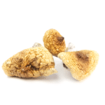 Golden Teacher