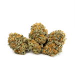 Grapefruit