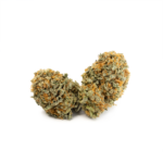 Grapefruit