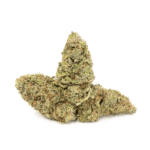Lemon Skunk