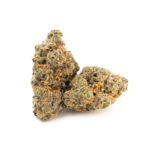 Mango Haze