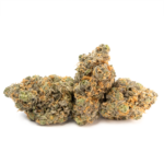 Mango Haze