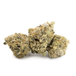 Sun Peaks Cultivation - Snoop Dogg OG