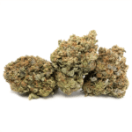 Pink Rockstar