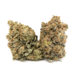 Pink Rockstar