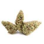 Super Lemon Haze