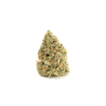 Tangie Haze