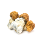 Texas Yellow Cap
