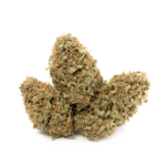 Gelato
