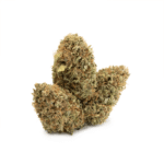 Gelato
