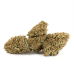 Gelato