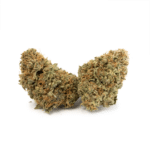 Gelato