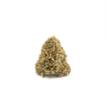 Gelato