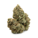 MK Ultra