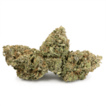 MK Ultra
