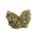 MK Ultra