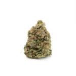 MK Ultra