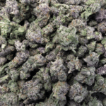Sun Peaks Cultivation - Gas Mask - Popcorn