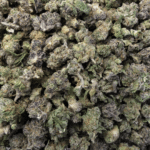 Sun Peaks Cultivation - Gelatti - Popcorn