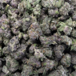 Sun Peaks Cultivation - Ghost OG - Popcorn