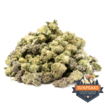 Sun Peaks Cultivation - Gorilla Glue #4 - Popcorn