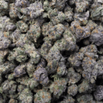Sun Peaks Cultivation - Sherb Cream Pie - Popcorn