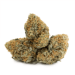 Sunset Sherbet