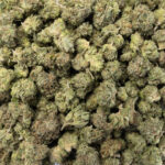 Gas Mask - Smalls