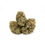 Rainbow Sherbet