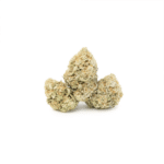 Animal Cookies