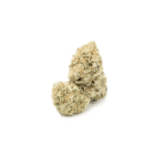 Animal Cookies