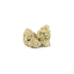 Animal Cookies