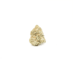Animal Cookies