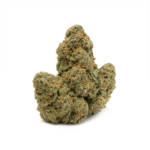 Hindu Kush