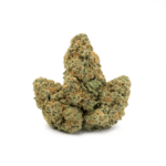 Hindu Kush